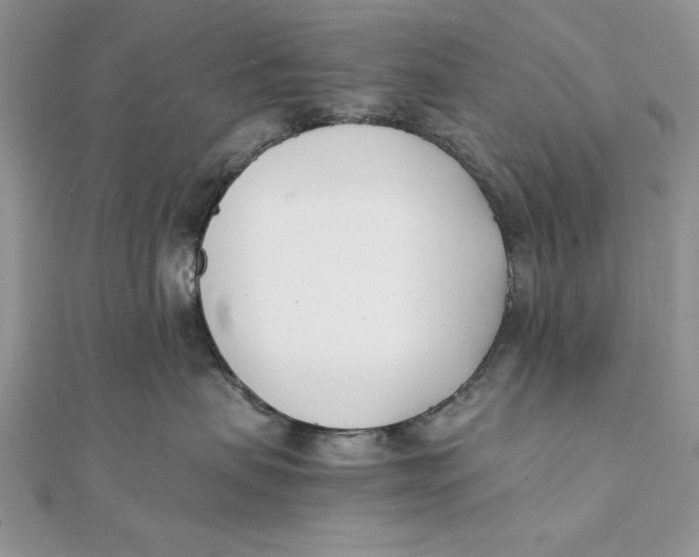 X0000111430479200908031335