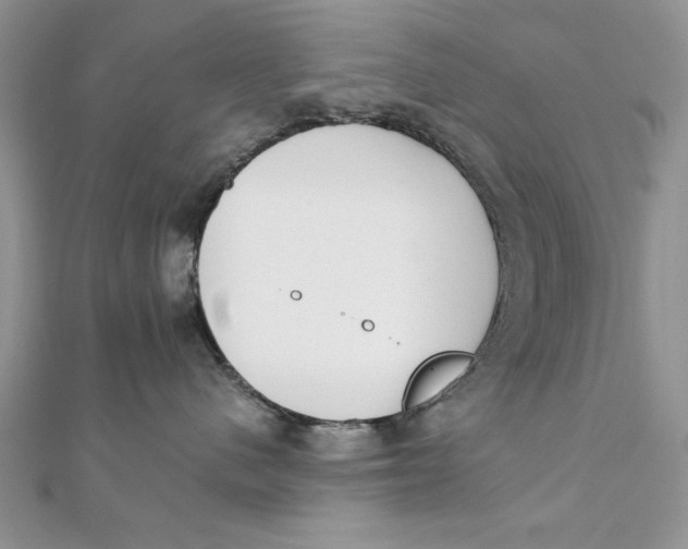 X0000111430480200908031335