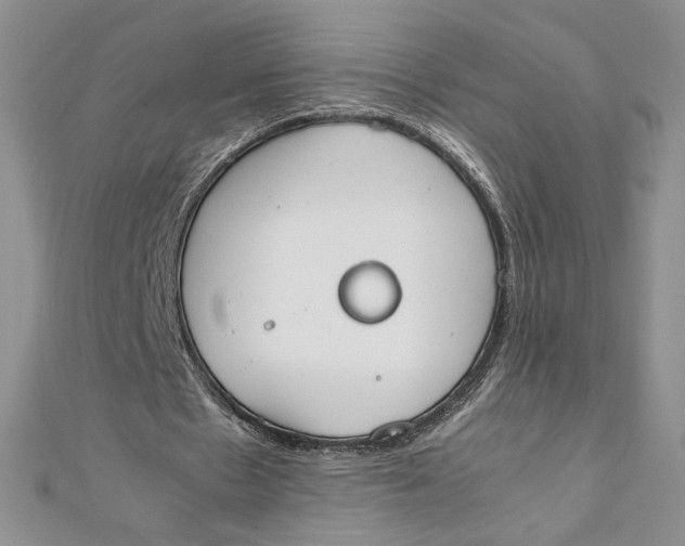 X0000111430481200908031335