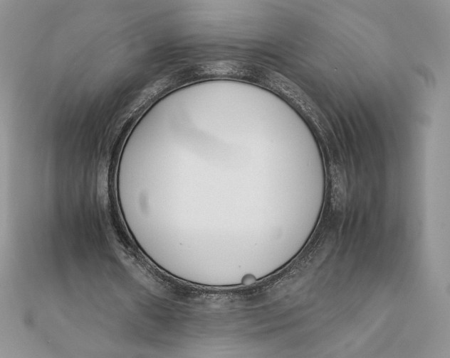 X0000111430482200908031335