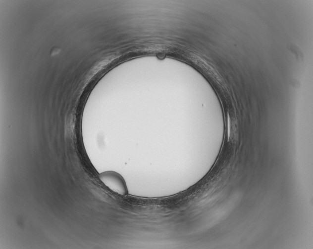 X0000111430483200908031335