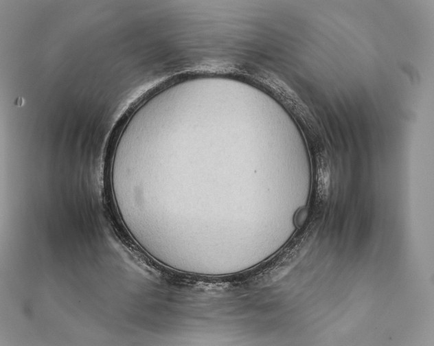 X0000111430484200908031335