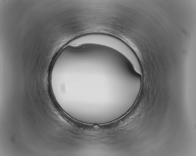 X0000111430485200908031335