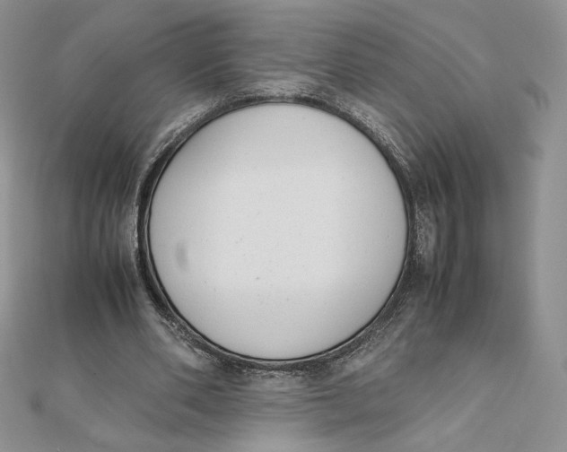 X0000111430486200908031335