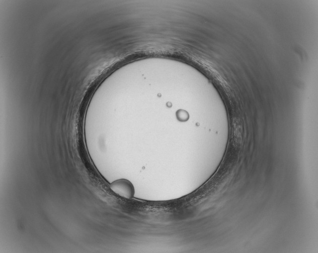 X0000111430487200908031335