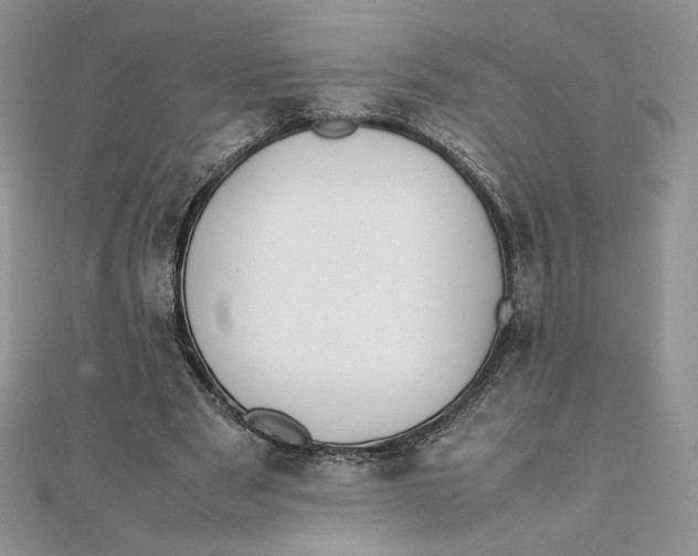 X0000111430489200908031334