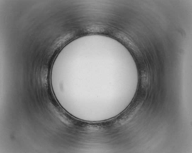 X0000111430490200908031334