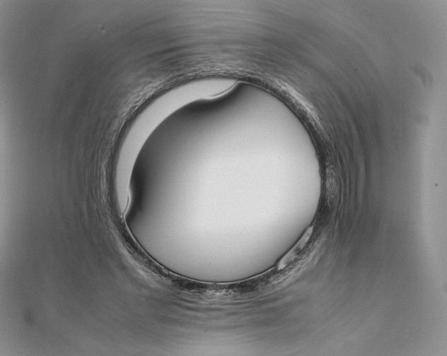 X0000111430493200908031334