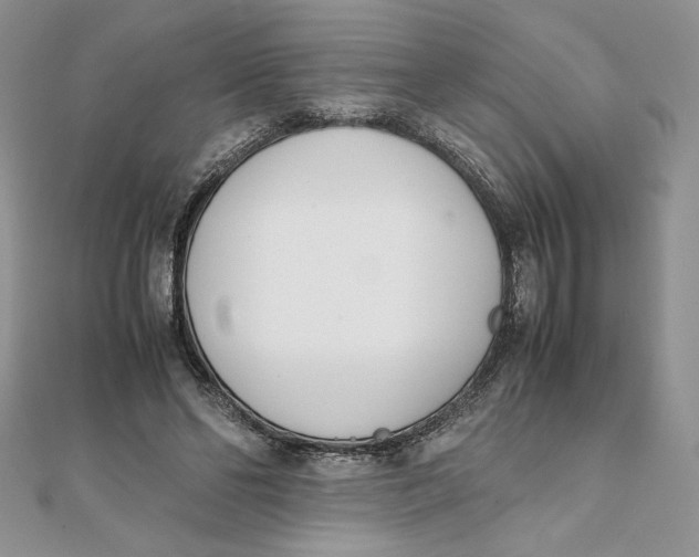 X0000111430494200908031334