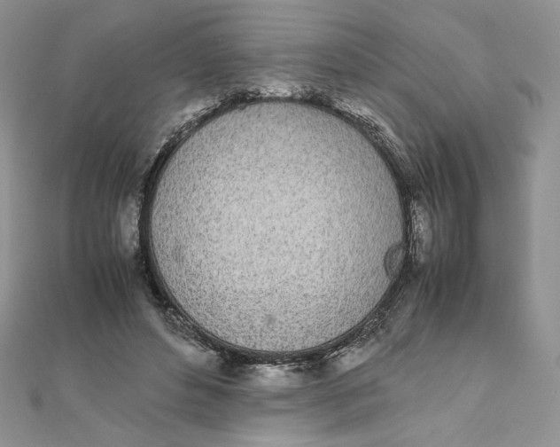 X0000111430496200908031334