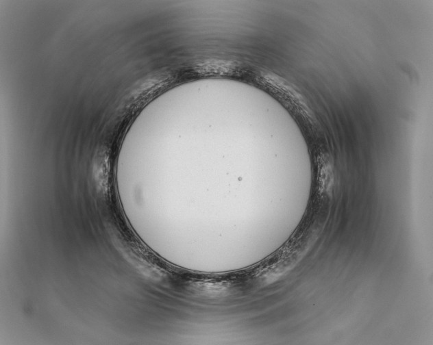 X0000111430498200908031334