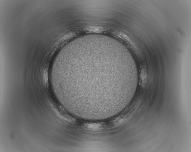 X0000111430500200908031334