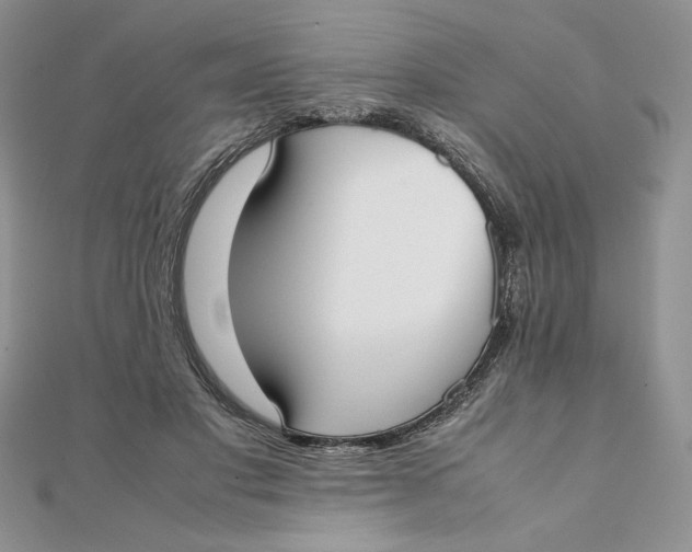 X0000111430501200908031334