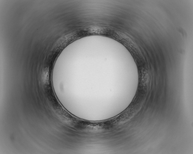 X0000111430502200908031334