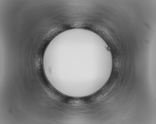 X0000111430503200908031334