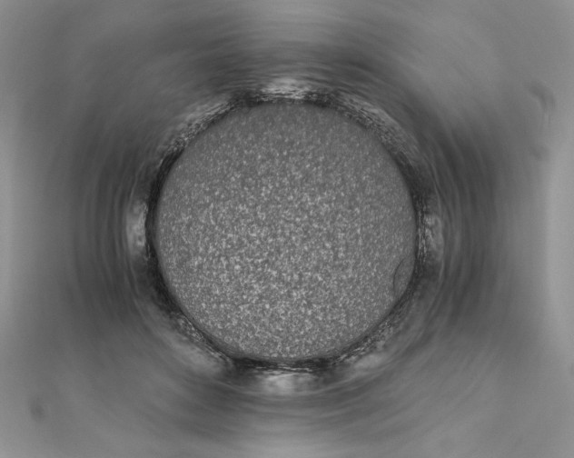 X0000111430504200908031334