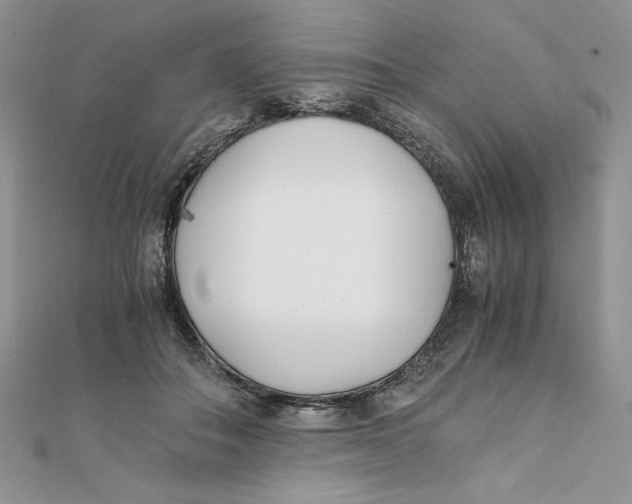 X0000111430506200908031334