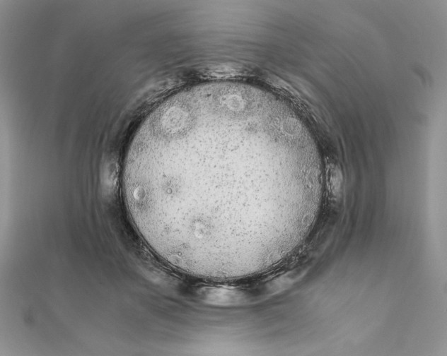 X0000111430507200908031334