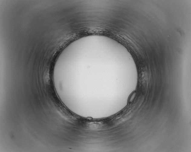 X0000111430508200908031334