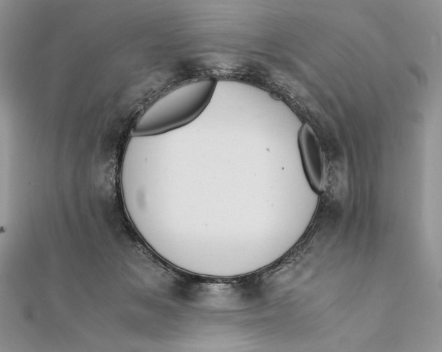 X0000111430509200908031334