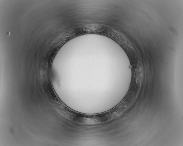 X0000111430510200908031334