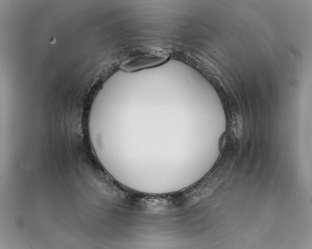 X0000111430512200908031334