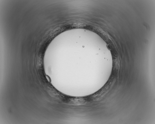 X0000111430517200908031334