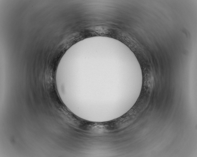 X0000111430518200908031334