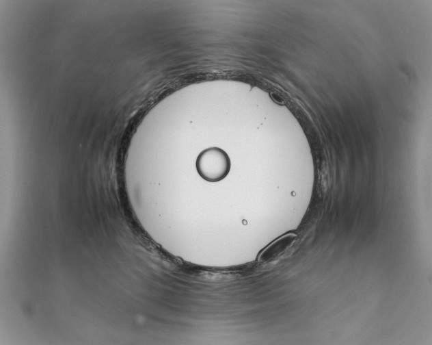 X0000111430520200908031334