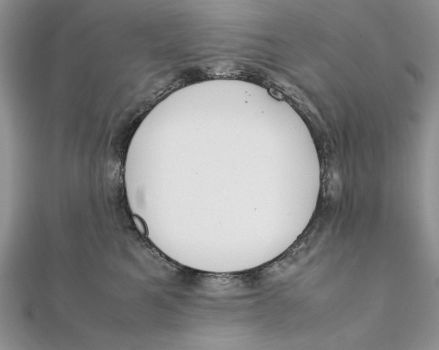 X0000111430521200908031334