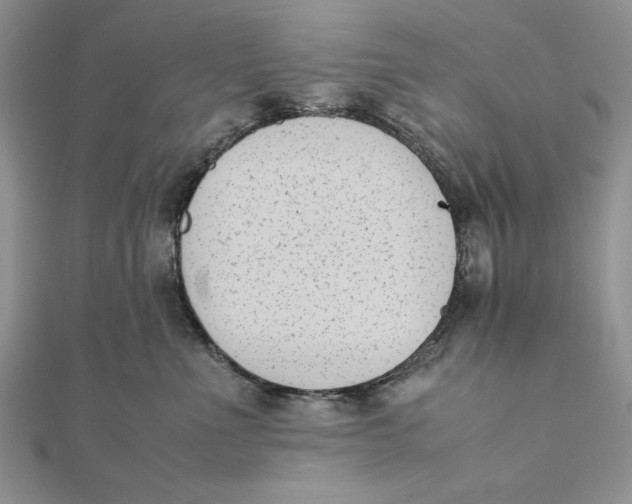 X0000111430523200908031334