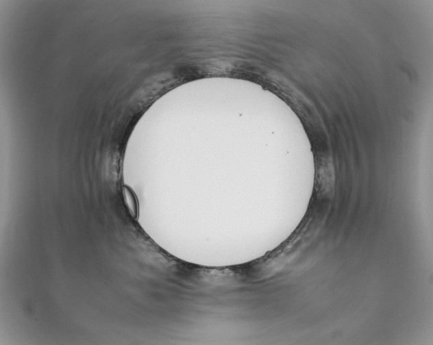 X0000111430525200908031334