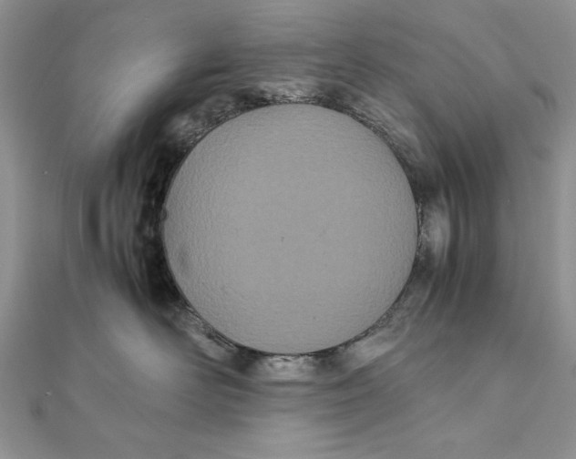 X0000111430526200908031334