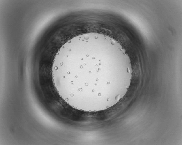 X0000111430527200908031334