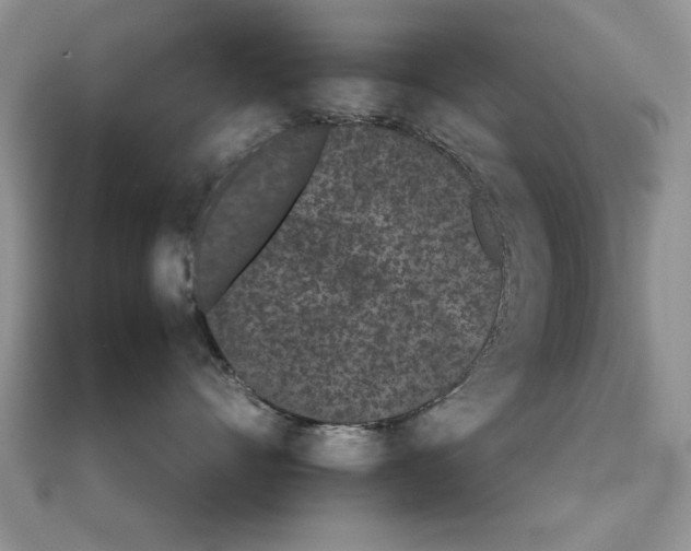 X0000111430528200908031334