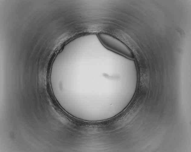 X0000111430530200908031333