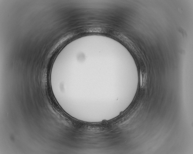 X0000111430531200908031333