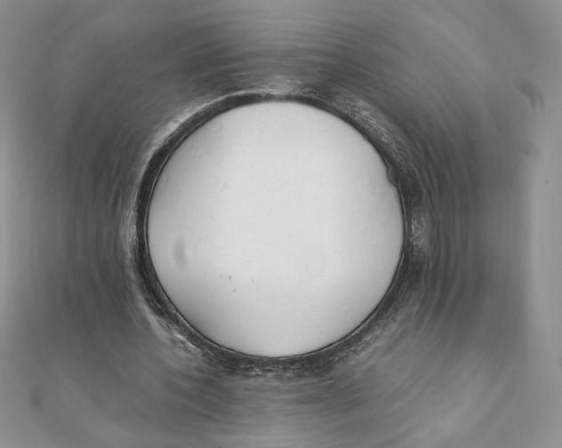 X0000111430532200908031333