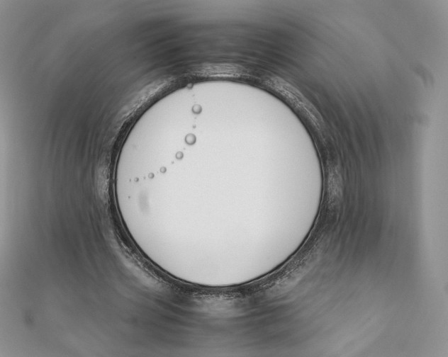 X0000111430533200908031333