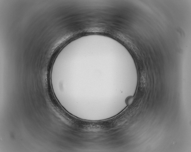 X0000111430535200908031333