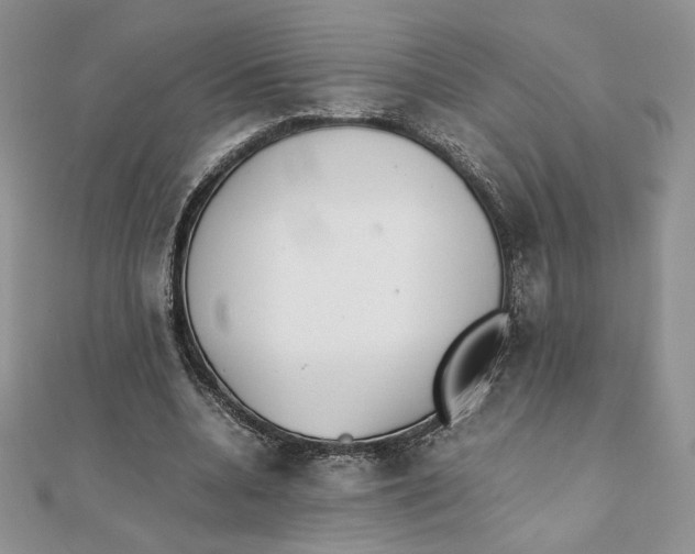 X0000111430536200908031333