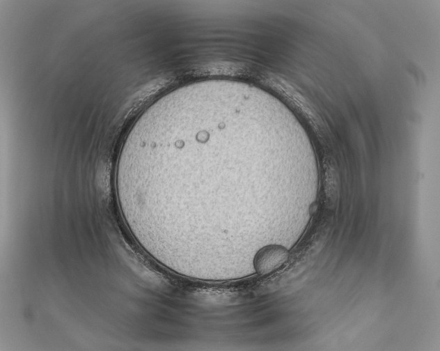 X0000111430537200908031333