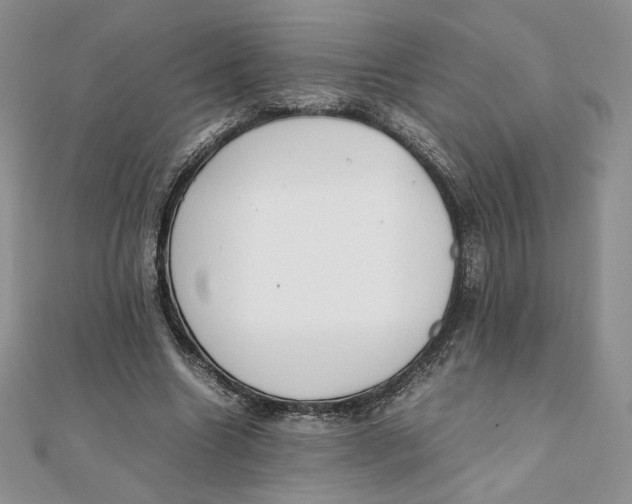 X0000111430538200908031333