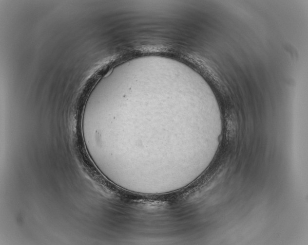 X0000111430539200908031334