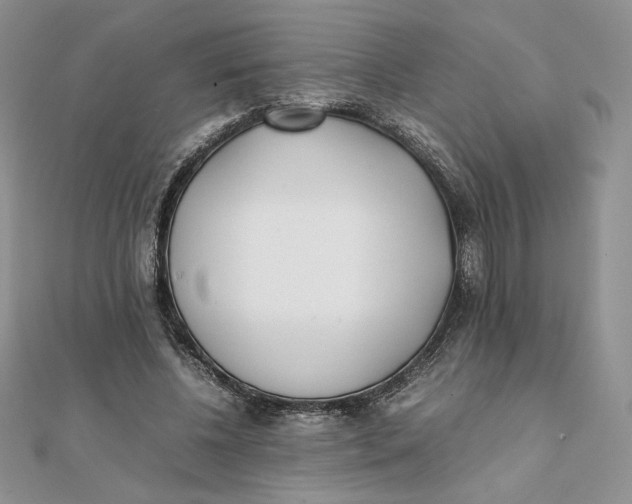 X0000111430540200908031334