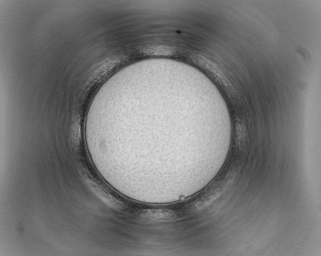 X0000111430541200908031334