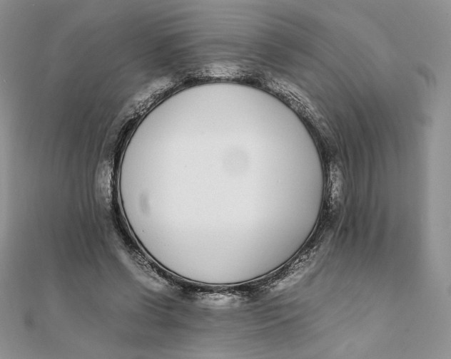 X0000111430542200908031334