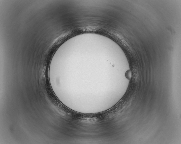 X0000111430543200908031334