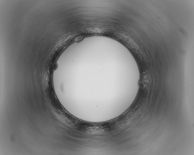 X0000111430544200908031334