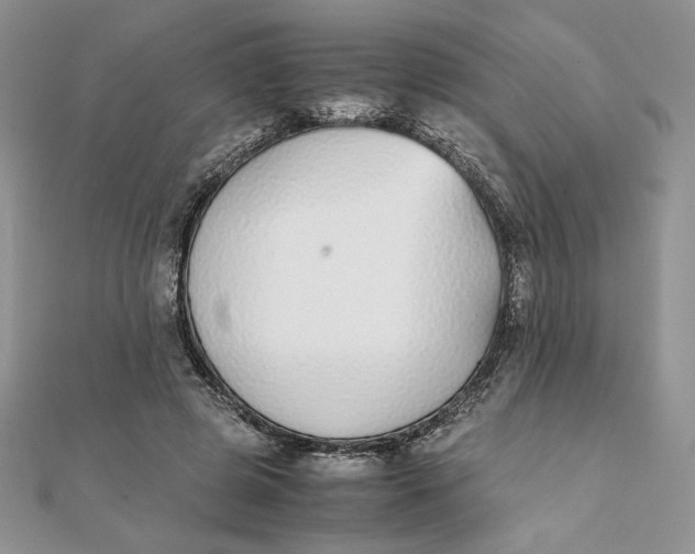 X0000111430545200908031334